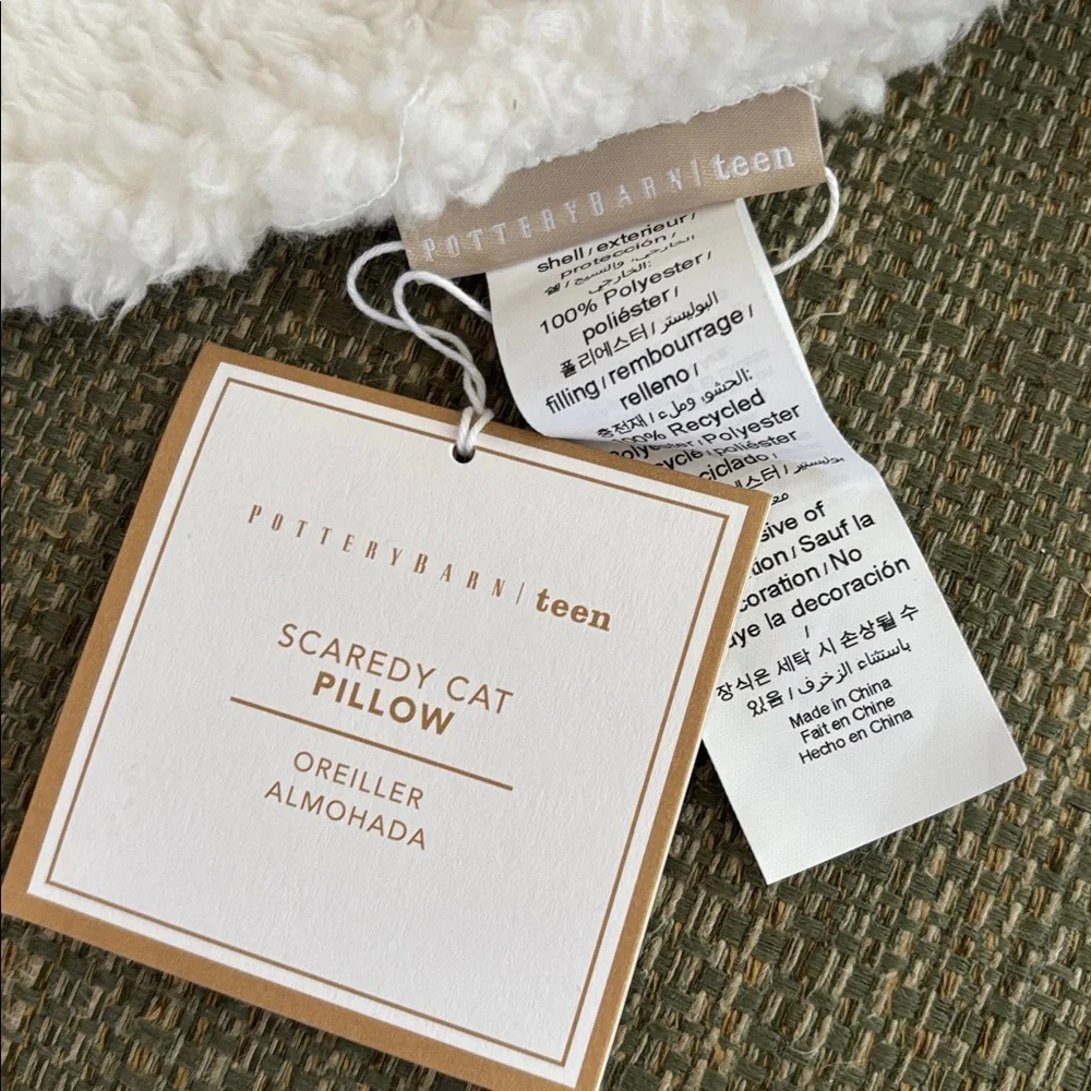 Pottery Barn Teen softest pbt